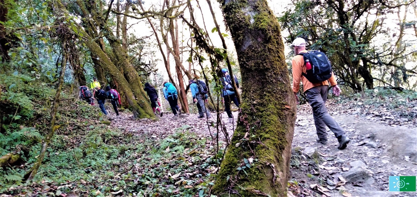 community trek nepal