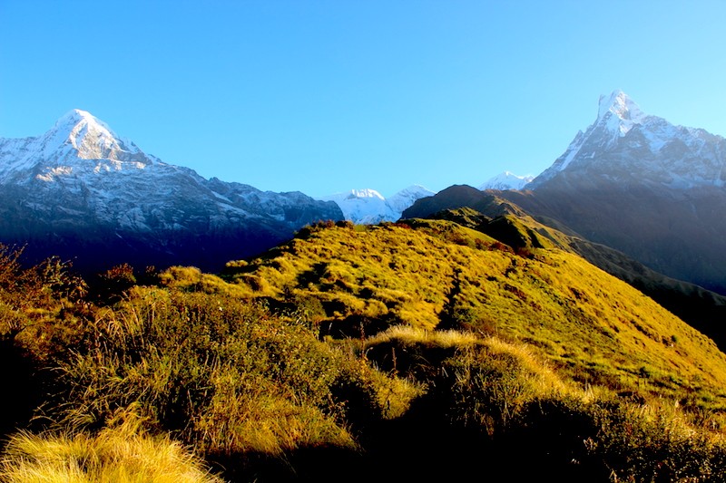 View of Machapuchre from low camp