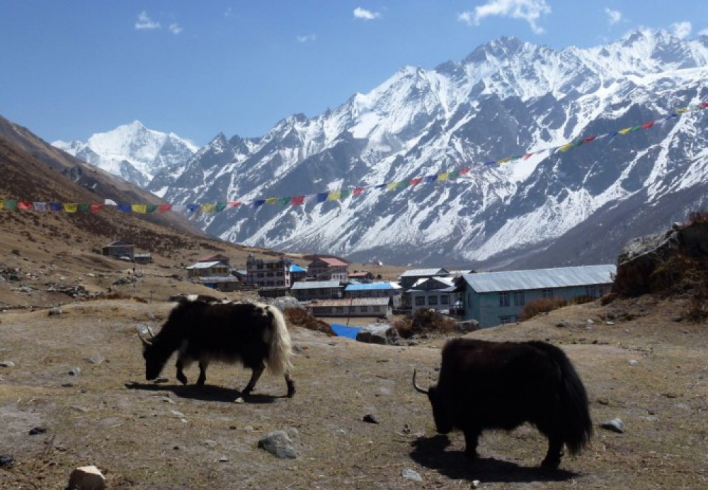 Langtang