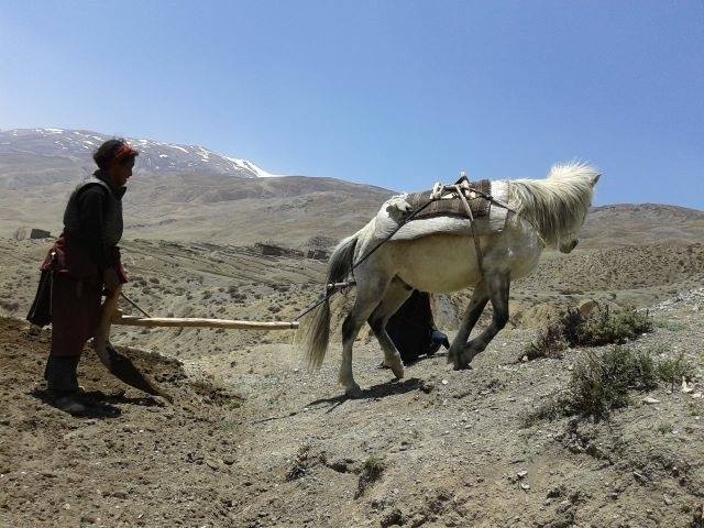 Upper dolpa trekking`