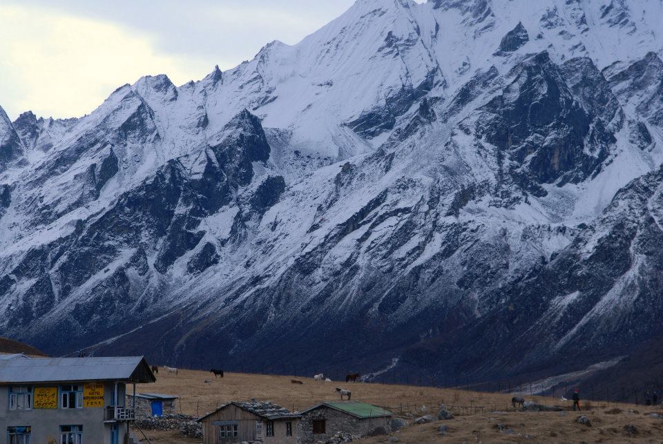 Himalayas while in the Langtang trekking