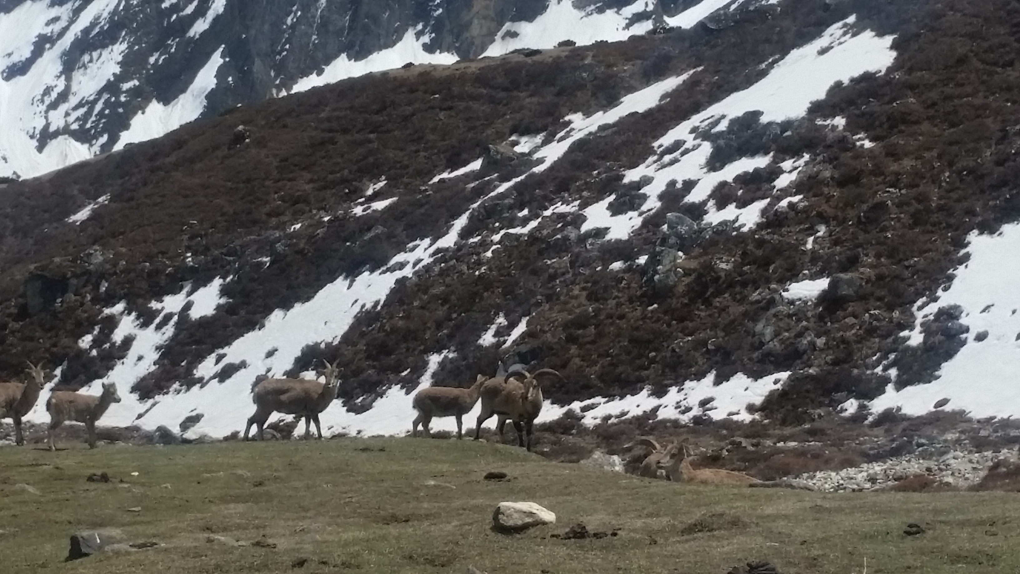 Manaslu Trek 14