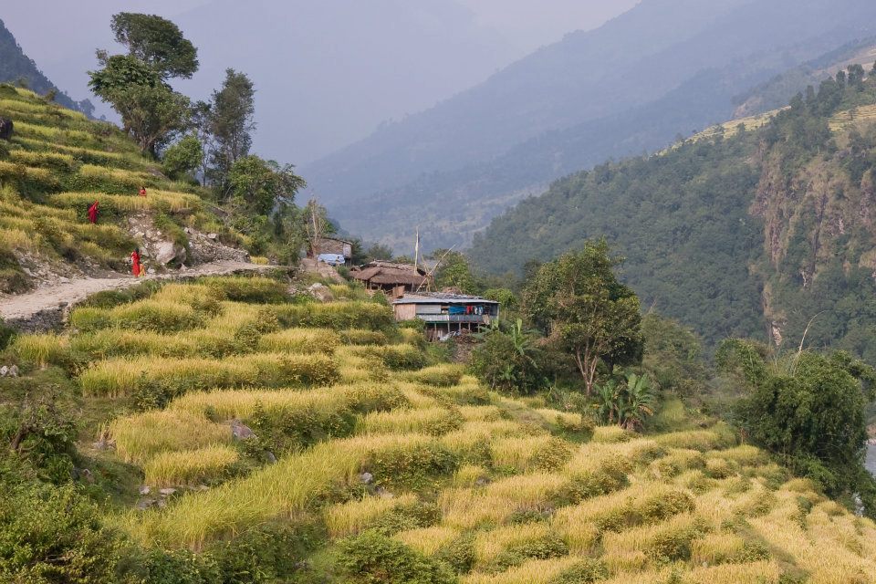 Manaslu Trek: Village