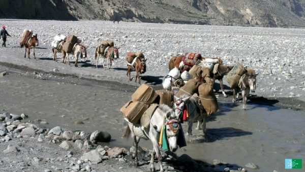 Upper Mustang : Trek Ancient Caravan Routes to Reach the Last Forbidden Kingdom
