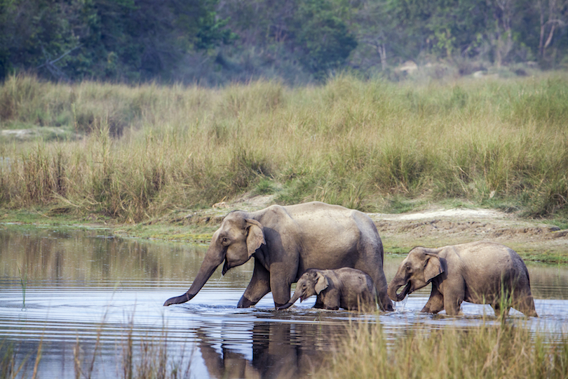 Bardiya National Park