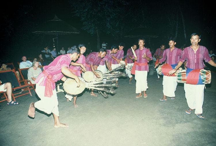 Cultural Program in Chitwan National Park 