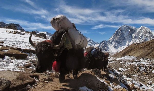 Khumjung: The Capital of Sherpas in Solukhumbu