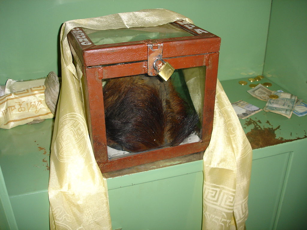 yeti scalp in Khumjung monastery