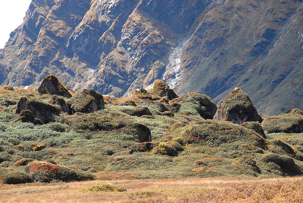 Makalu-Barun-National-Park,_Nepal