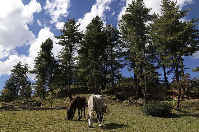 Rara-National-Park