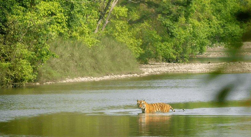 bardia-national-park