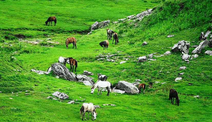 khaptad