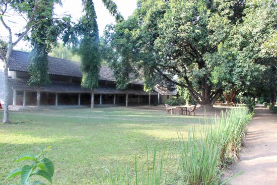 Tiger Tops Tharu Lodge