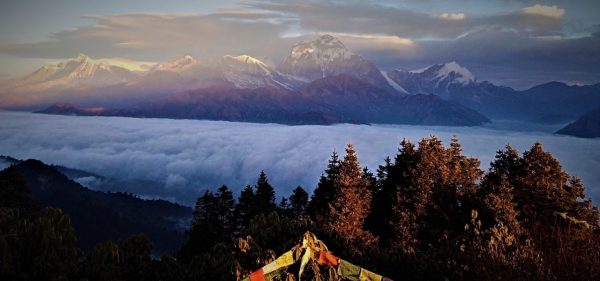 Ghorepani Trekking Experience