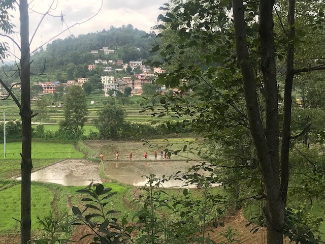 community trek nepal