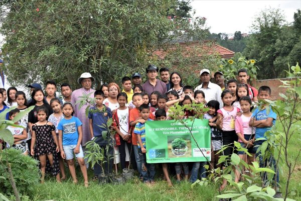 Tree Plantation and Sustainability Workshop