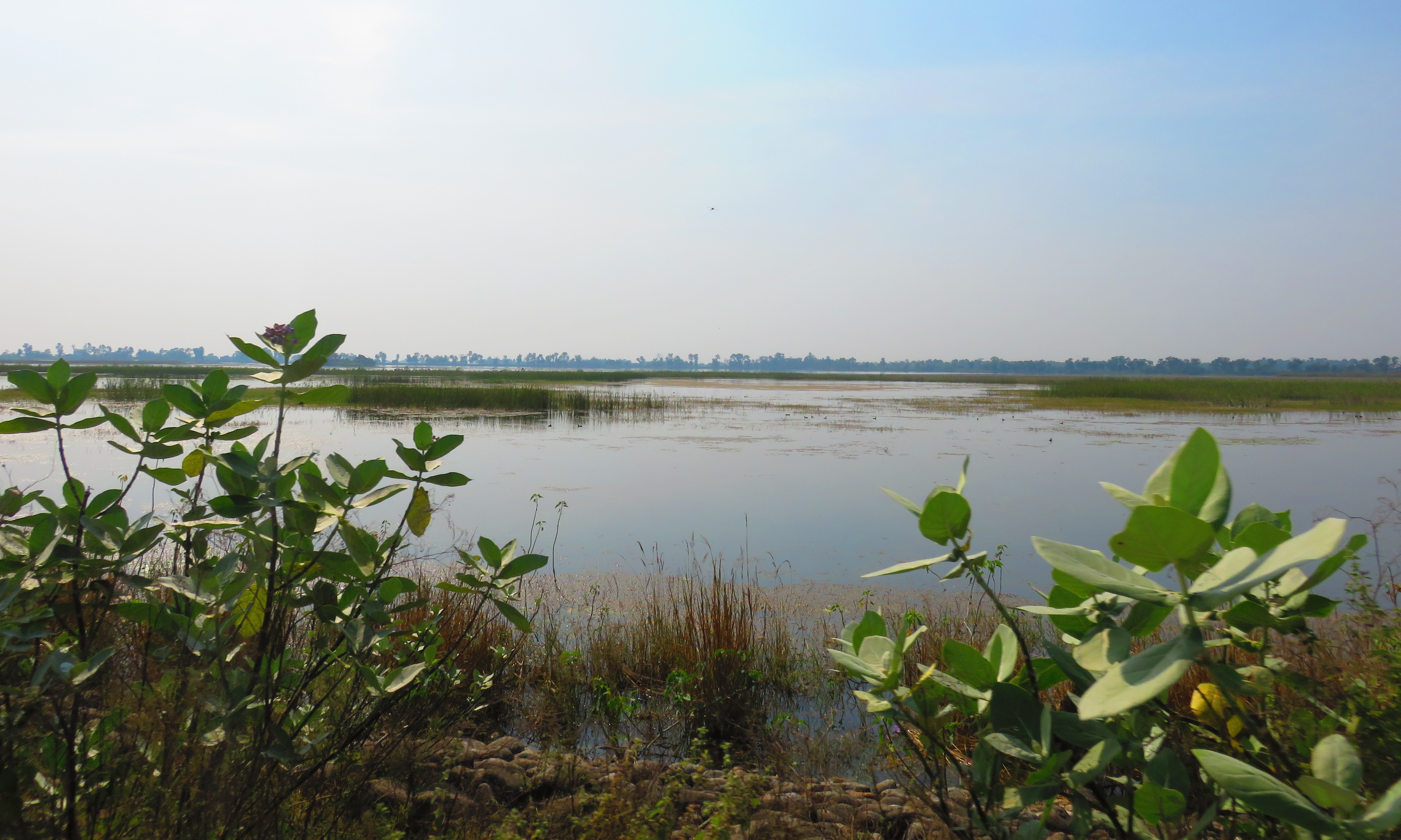 Bird Watching In Nepal Indulge Your Passion For Birds In This Abundant 