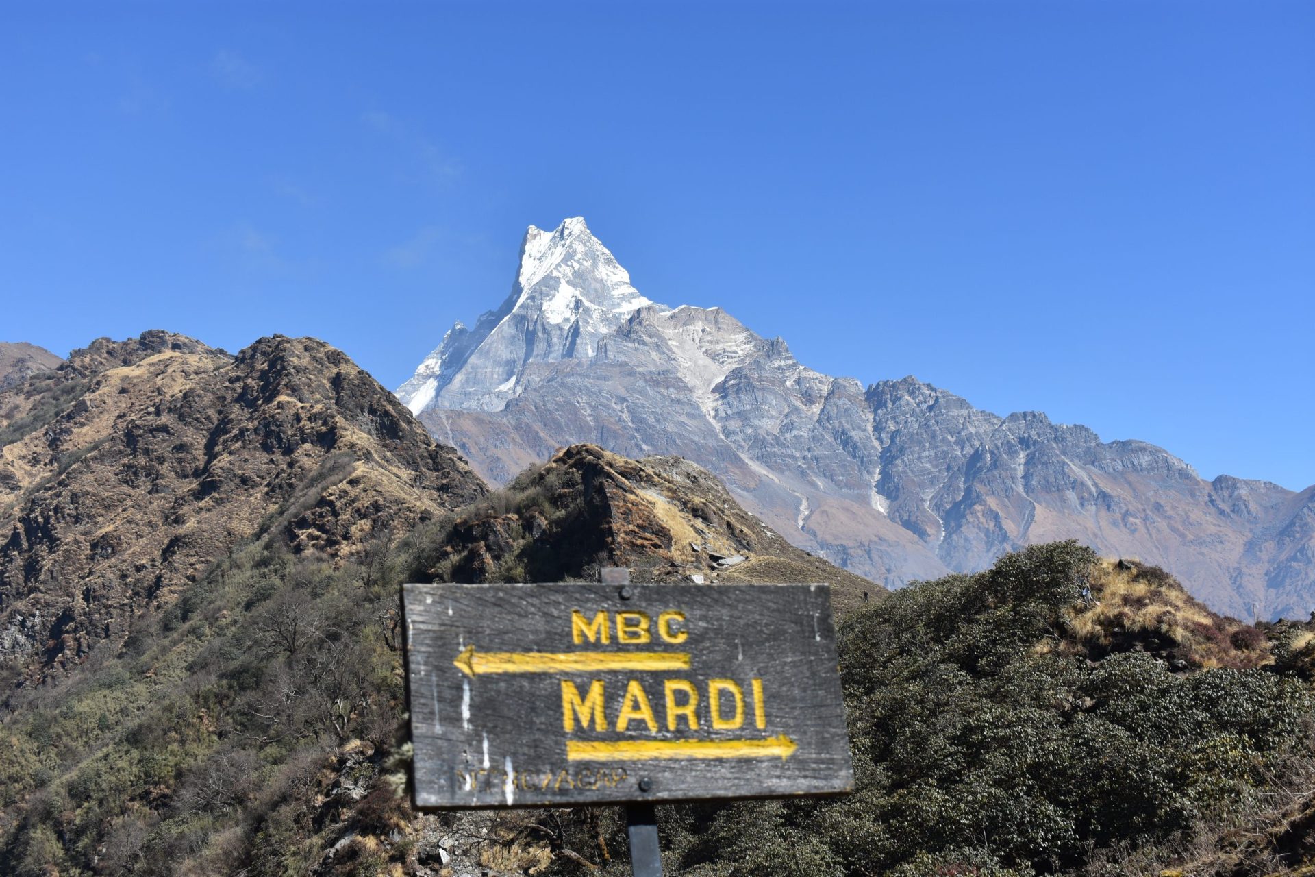 Ultimate Guide Trekking to Mardi Himal