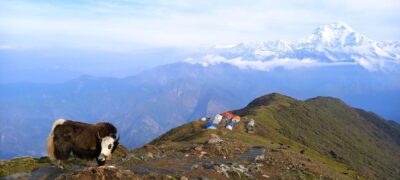 Khopra Ridge Trek