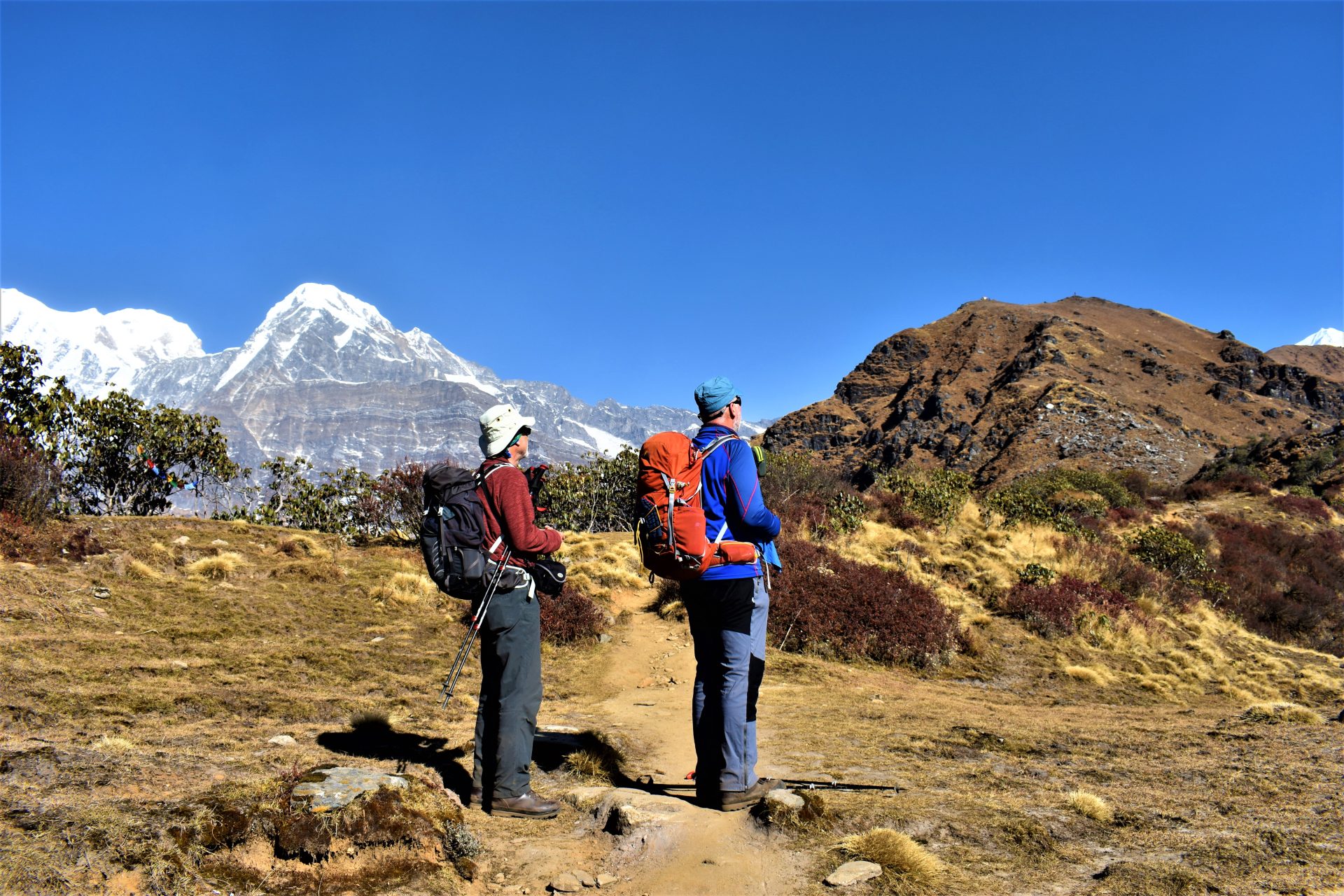 Mardi Himal Trek