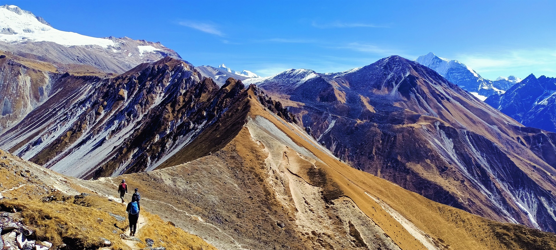 Langtang Gosainkunda Trek