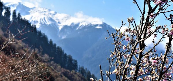 Langtang Via Tilman Pass (GHT)