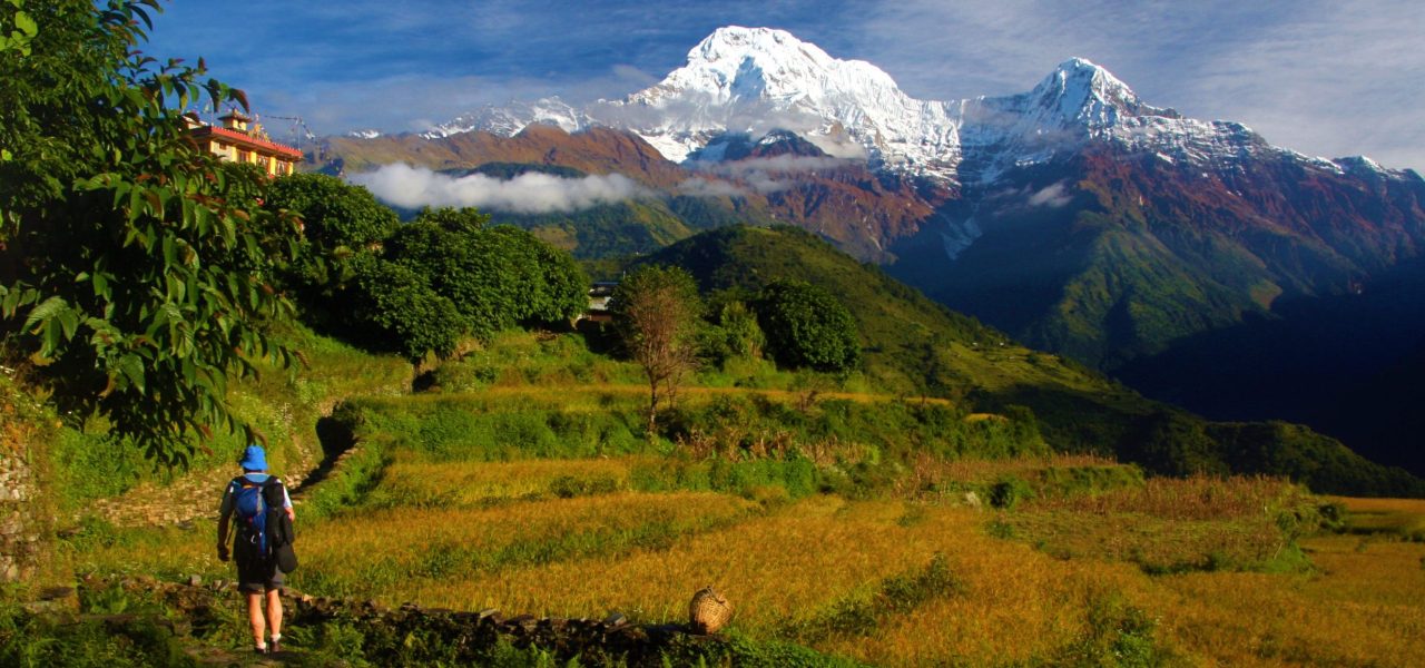 Annapurna Trek with Comfort