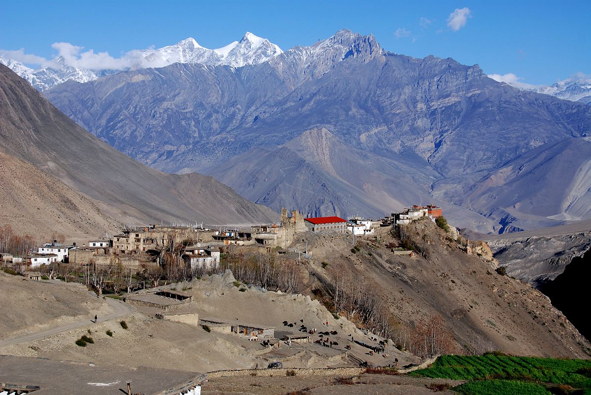 Lower Mustang Biking