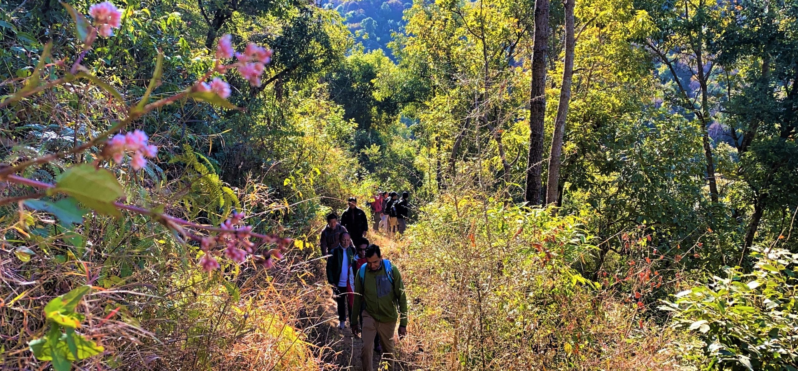 Godavari to Panauti Day Hike