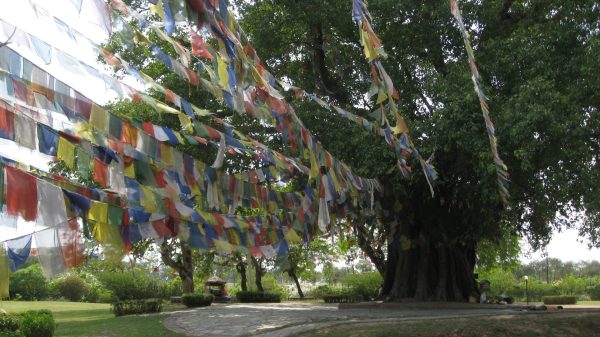 simple essay on lumbini in english language