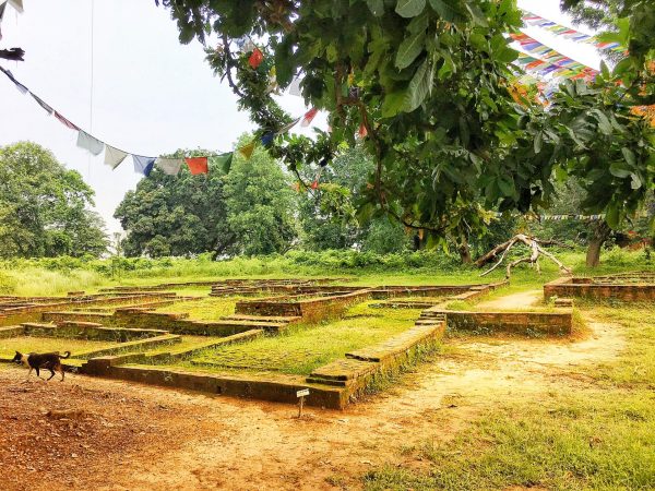 my travel experience to lumbini essay