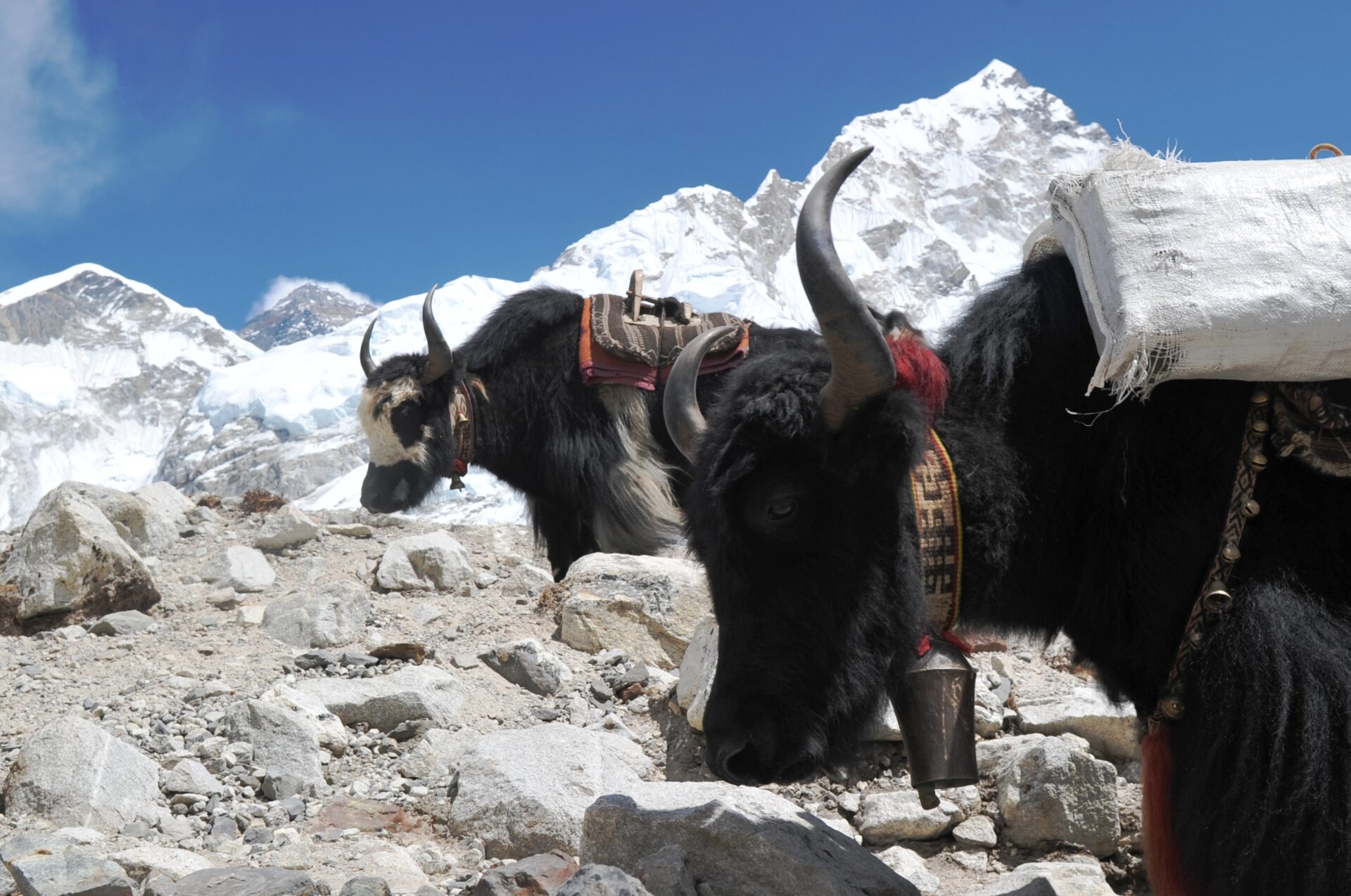What is the best time to trek to Everest Base Camp?
