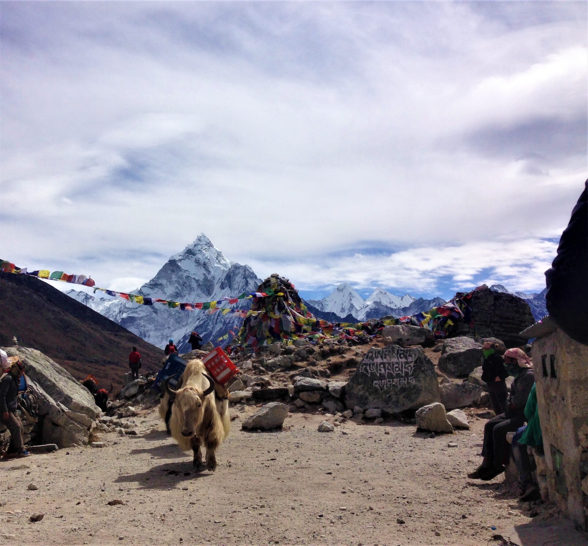 How can I prevent altitude sickness on the Everest Base Camp trek?