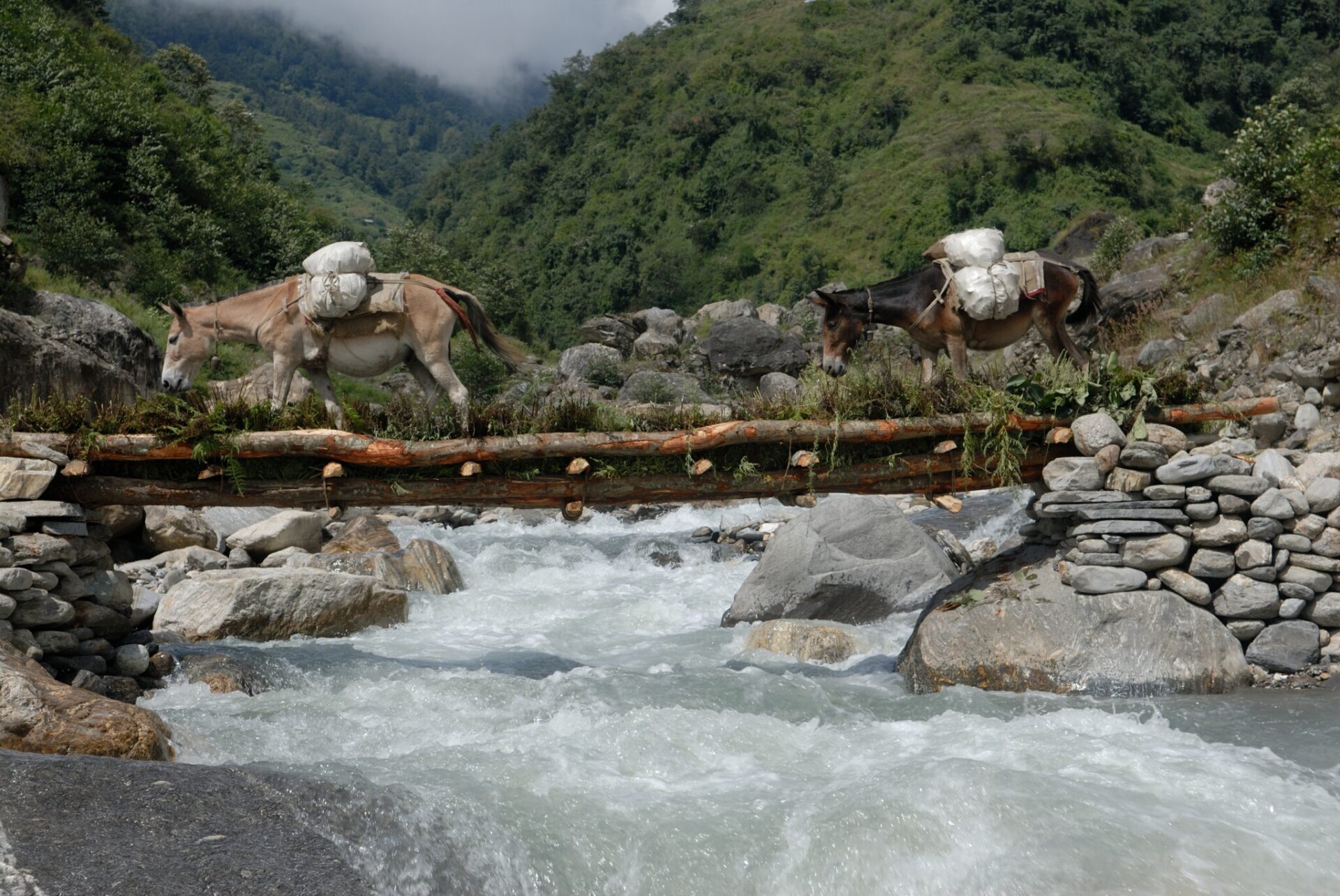 How can I ensure safe drinking water on the Annapurna Base Camp trek?