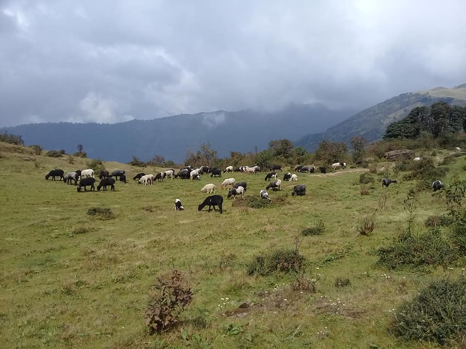 Barabara Butterworth, U.S.A.