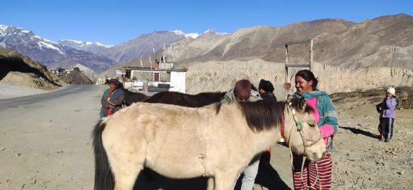 Equine Vaccination and Welfare Initiative in Upper Mustang