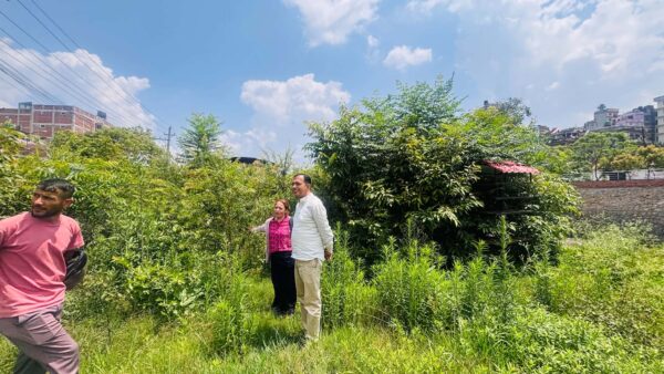 Nepal Sanctuary Treks Supporting Carbon Offset and Tree Plantation Initiatives in Nepal